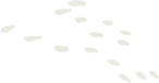 about-one-shape-10 (1)