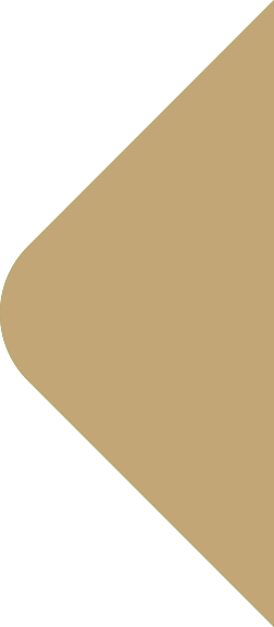 why-choose-one-shape-4 (1)